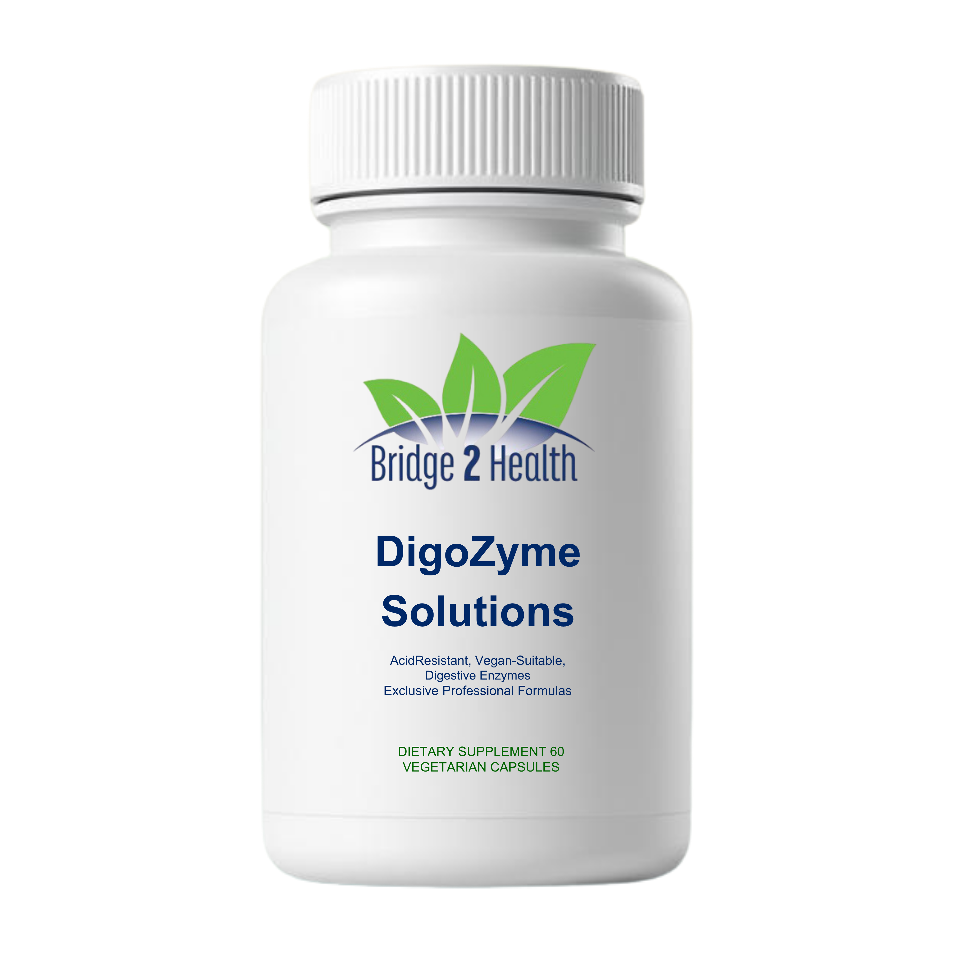 DigoZyme Solutions – Digestive Enzymes, 60 Vegetarian Capsules